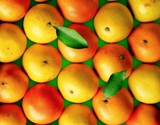 Healthy Aging Florida Citrus
